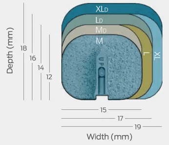 Anatomical Sizing logo